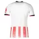 Camiseta SC Freiburg Hombre Primera 25/26