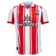 Camiseta Southampton Hombre Primera 25/26 Camiseta Southampton Hombre Primera 25/26