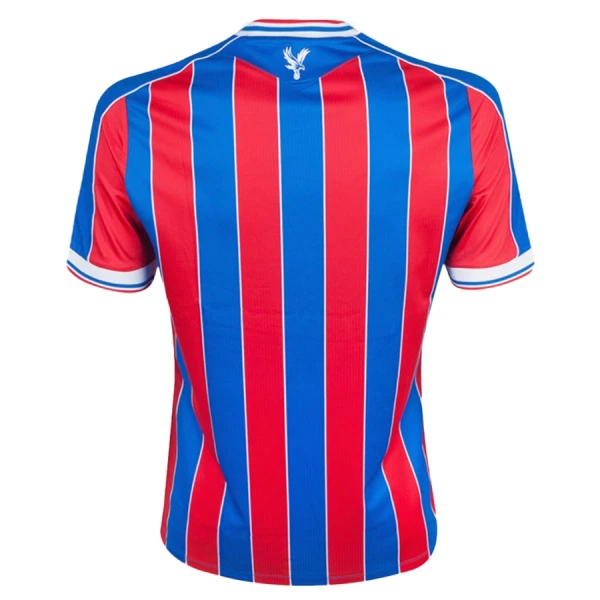 Conjunto Crystal Palace Niño Primera 25/26