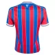 Conjunto Crystal Palace Niño Primera 25/26