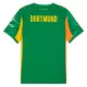 Camiseta Portero Borussia Dortmund Hombre 25/26 Verde