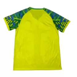 Camiseta Brasil Hombre 2025 Verde - Especial