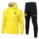 Borussia Dortmund Chaqueta De Entrenamiento Con Capucha Hombre 25/26 Amarilla