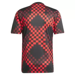 Camiseta Benfica Pre-Match Hombre 25/26