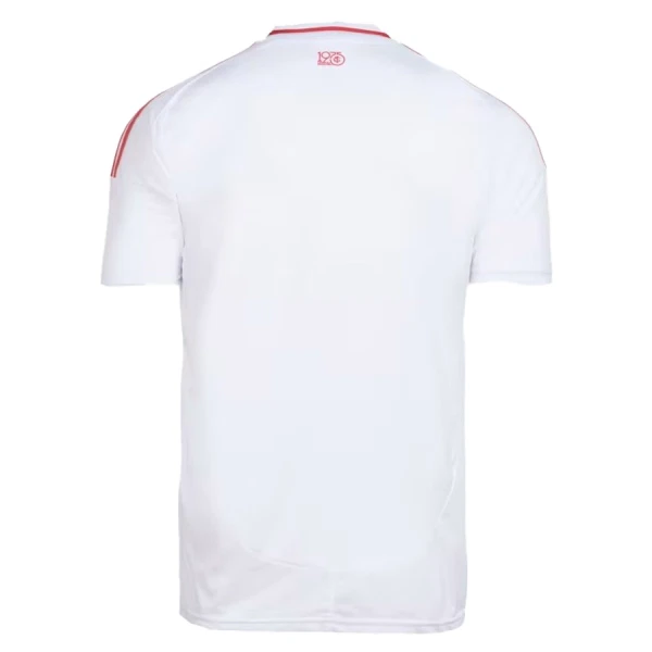 Camiseta Internacional Hombre Segunda 25/26