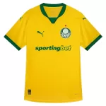 Camiseta Palmeiras Hombre Tercera 25/26
