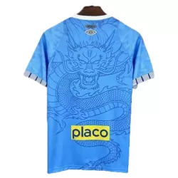 Camiseta Santos FC Dragon Hombre 25/26 Azul