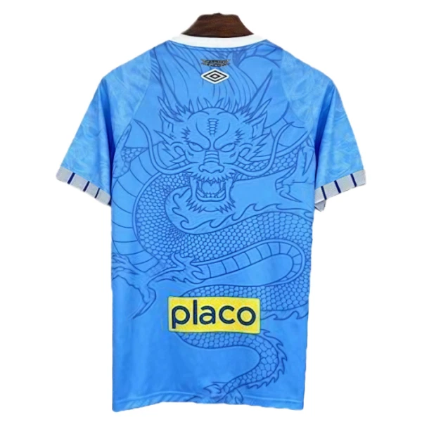 Camiseta Santos FC Dragon Hombre 25/26 Azul