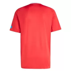 Camiseta FC Nurnberg Hombre Tercera 25/26