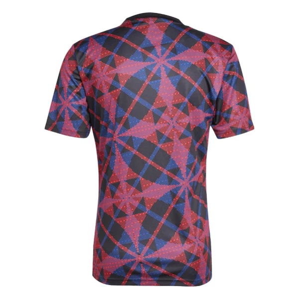 Camiseta Olympique Lyonnais Pre-Match Hombre 25/26