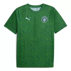 Camiseta Manchester City Pre-Match Hombre 25/26 Verde