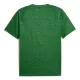 Camiseta Manchester City Pre-Match Hombre 25/26 Verde