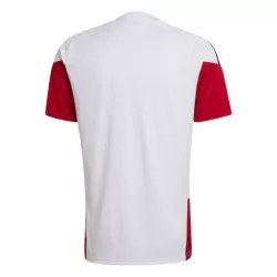 Alemania Camiseta De Entrenamiento Hombre Mundial 2026 Blanca