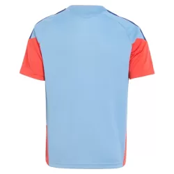 Japón Camiseta De Entrenamiento Hombre Mundial 2026 Azul