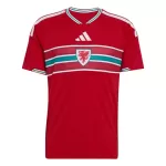 Camiseta Gales Hombre Primera Mundial 2026