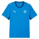 Camiseta Islandia Hombre Primera Mundial 2026 Camiseta Islandia Hombre Primera Mundial 2026