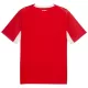 Camiseta Suiza Hombre Primera Mundial 2026