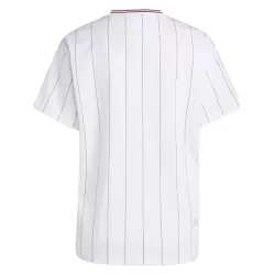 Camiseta Aston Villa Terrace Icons Hombre 25/26