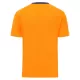 Camiseta Cardiff City Hombre Tercera 25/26