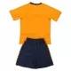 Conjunto Cardiff City Niño Tercera 25/26