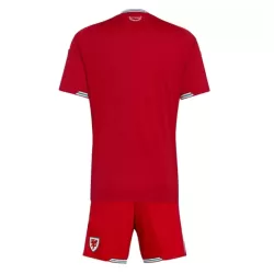 Conjunto Gales Niño Primera Mundial 2026