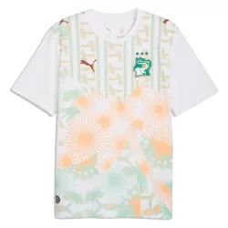 Camiseta Costa de Marfil Hombre Segunda Mundial 2026