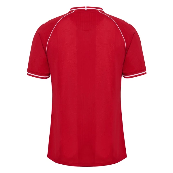 Camiseta Dinamarca Hombre Primera Mundial 2026