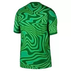 Camiseta Portero Brasil Hombre Primera Mundial 2026 Verde