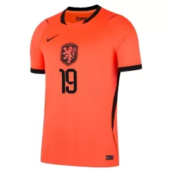Camiseta Países Bajos Weghorst 19 Hombre Primera Mundial 2026