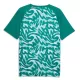 Camiseta Portugal Pre-Match Hombre Mundial 2026 Verde