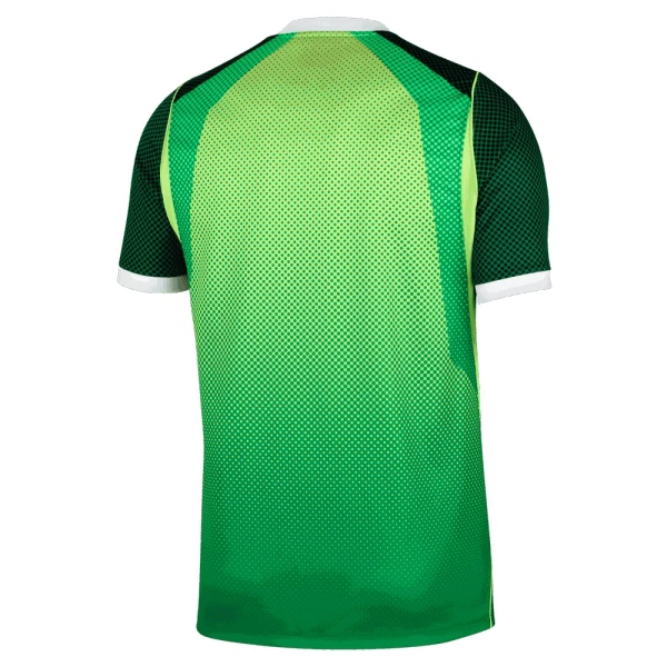 Camiseta Nigeria Hombre Primera 26/27