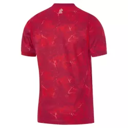Camiseta Polonia Hombre Segunda 2026