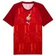 Camiseta Ghana Pre-Match Hombre Mundial 2026 Camiseta Ghana Pre-Match Hombre Mundial 2026