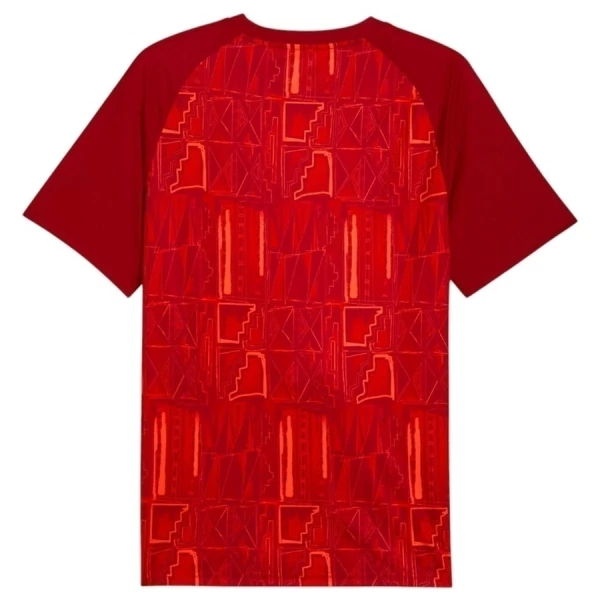 Camiseta Ghana Pre-Match Hombre Mundial 2026