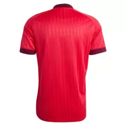Camiseta Olympique Lyonnais Hombre Segunda 26/27