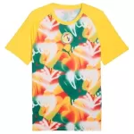 Camiseta Senegal Pre-Match Hombre Mundial 2026