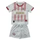 Conjunto PSV Eindhoven Cuarta Niño 25/26 - Especial Conjunto PSV Eindhoven Cuarta Niño 25/26 - Especial