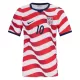 Camiseta Estados Unidos Pulisic 10 Hombre Primera Mundial 2026