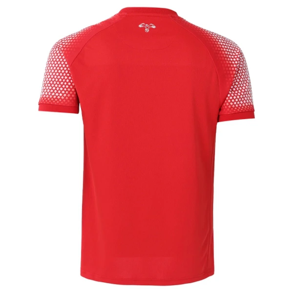 Camiseta Hombre Segunda Jordan Mundial 2026