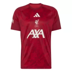 Camiseta Liverpool Pre-Match Hombre 26/27