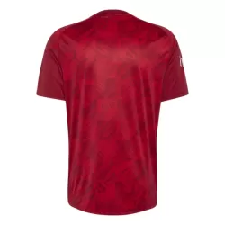 Camiseta Liverpool Pre-Match Hombre 26/27