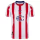 Camiseta Chivas de Guadalajara 120. Aniversario Hombre 25/26 Camiseta Chivas de Guadalajara 120. Aniversario Hombre 25/26