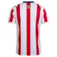 Camiseta Chivas de Guadalajara 120. Aniversario Hombre 25/26