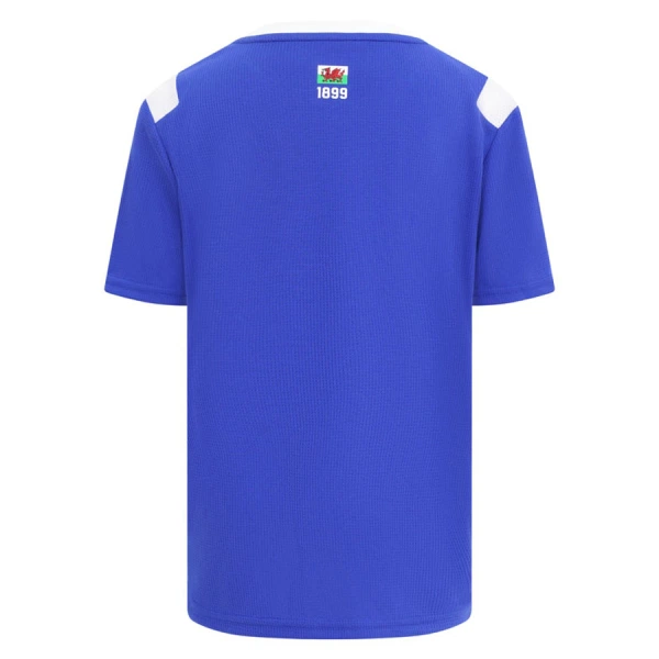 Camiseta Cardiff City Hombre Primera 26/27