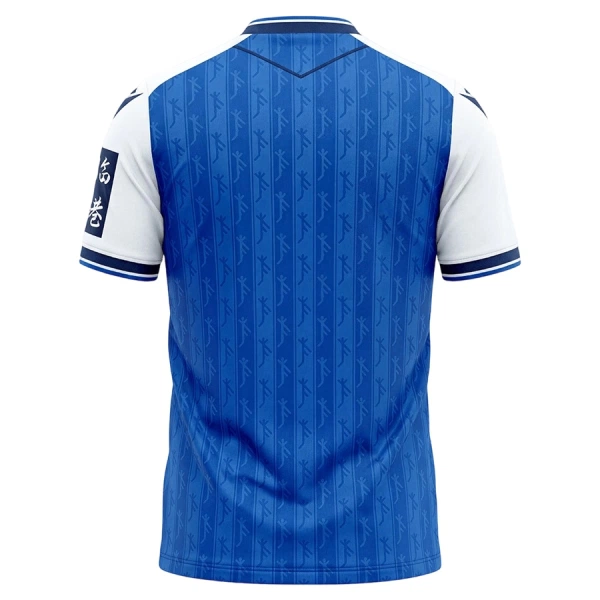 Camiseta TSG 1899 Hoffenheim Hombre Primera 26/27